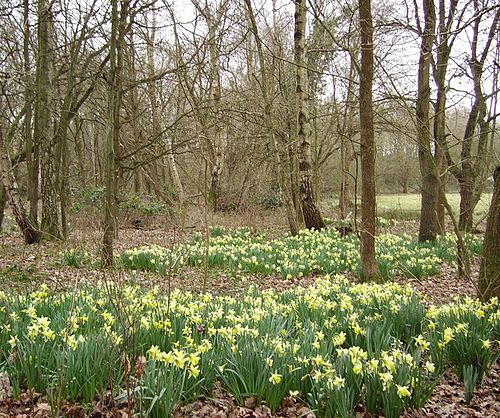 Sandhurst, Berkshire